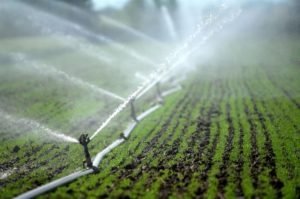 Farmers Mobilise Due To Water Cuts, With Protests Announced
