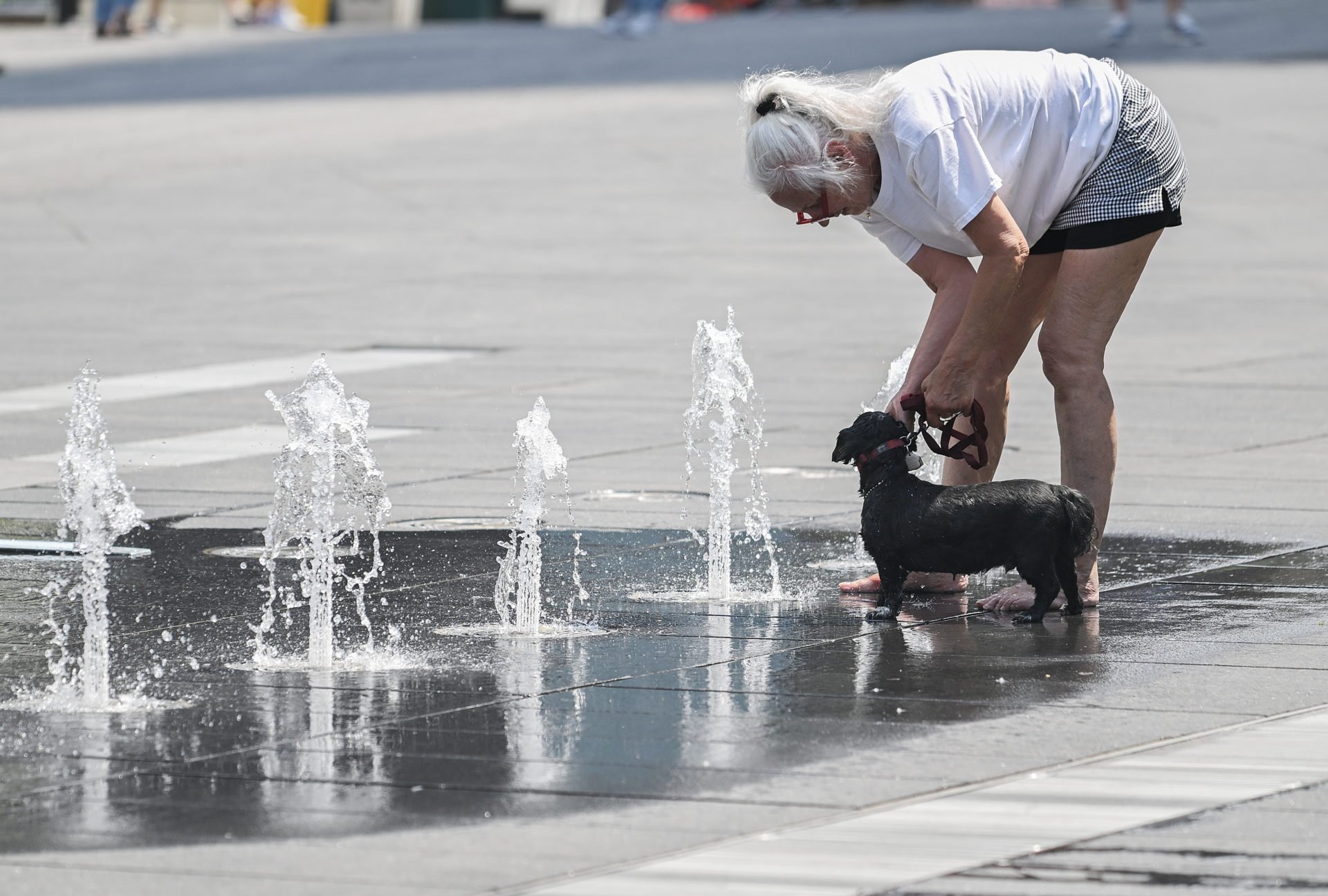 Heat Warning Issued For Montreal, Canada
