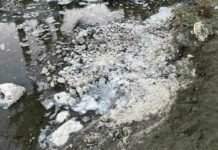 Sewage Sea Foam Pervolia Pollution