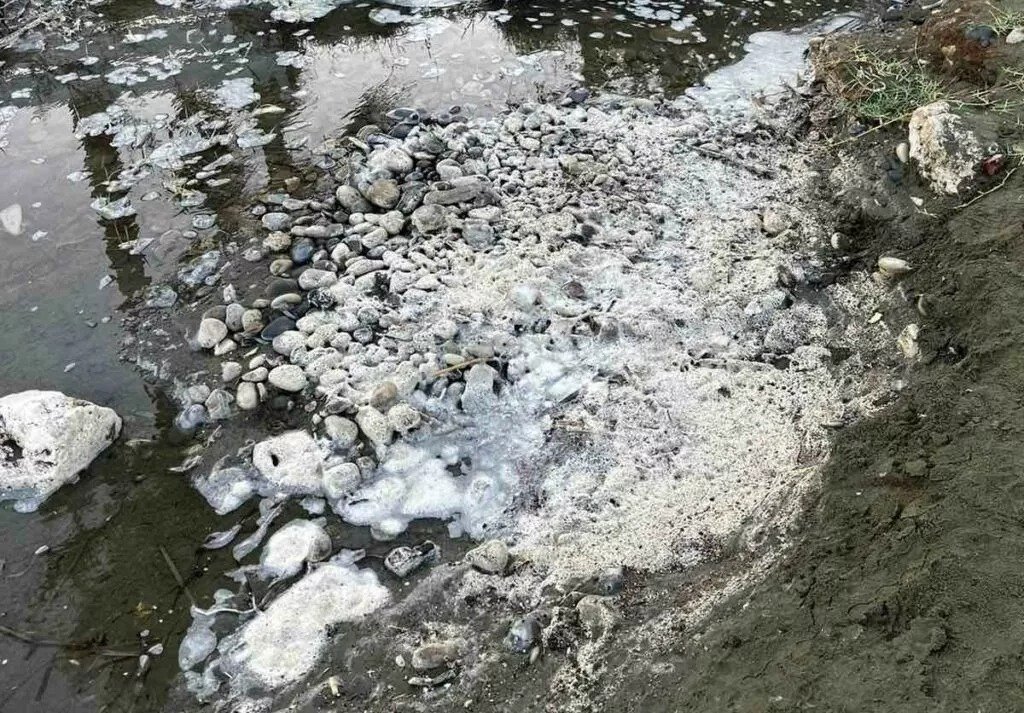 Sewage Sea Foam Pervolia Pollution