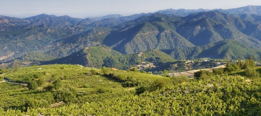 Wine Routes