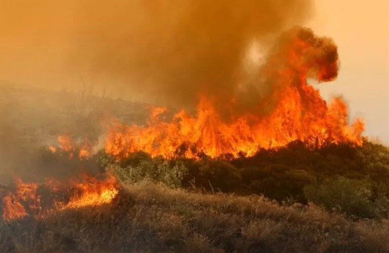 %22red Alert%22 Danger For Forest Fires Announced