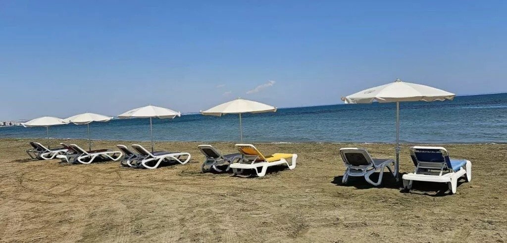 Dog Beach In Spyros Beach Upgraded