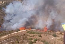 Fire Breaks Out In Pachna, Limassol