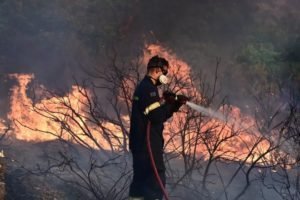 Firefighting Efforts Continue In Greece As Grammatiko Evacuates