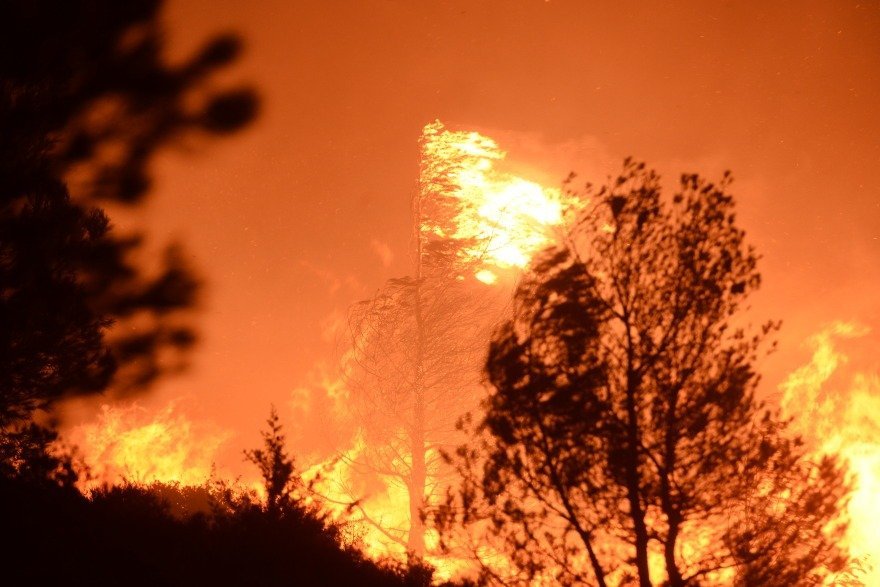 Greece Blaze Reaches Mount Pentelicus, Two Hospital Evacuations9