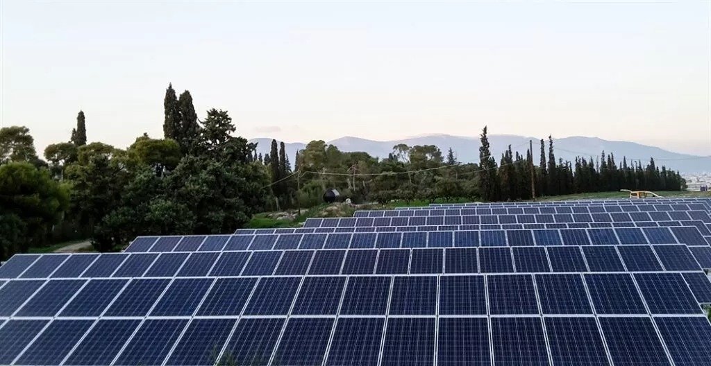 Local Outcry As Solar Farm Threatens Cypriot Forest