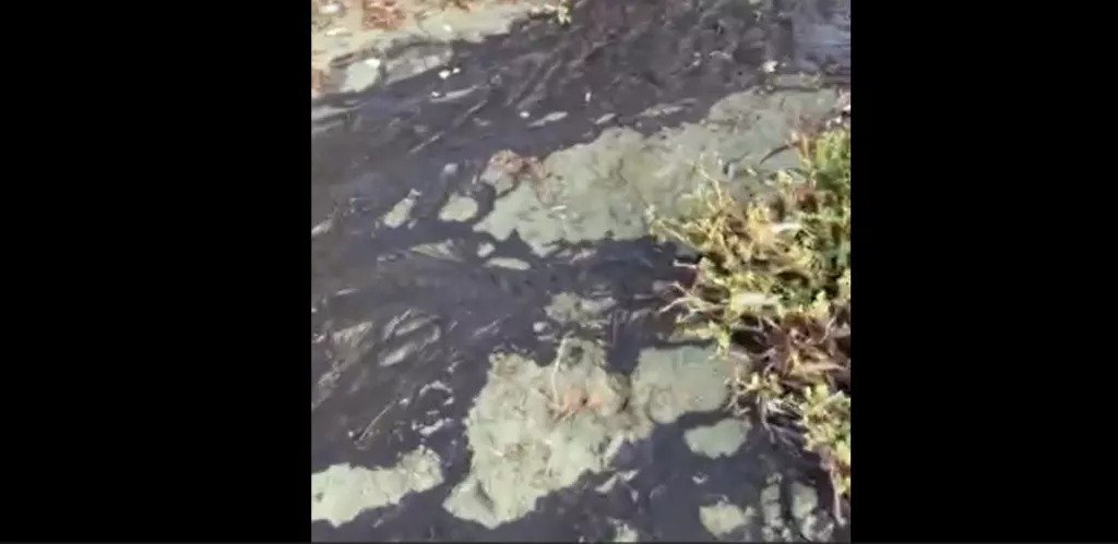 Sewage Contaminated Beach Sparks Outrage In Pervolia