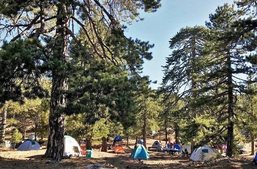 They Should Create Public Camping Spaces