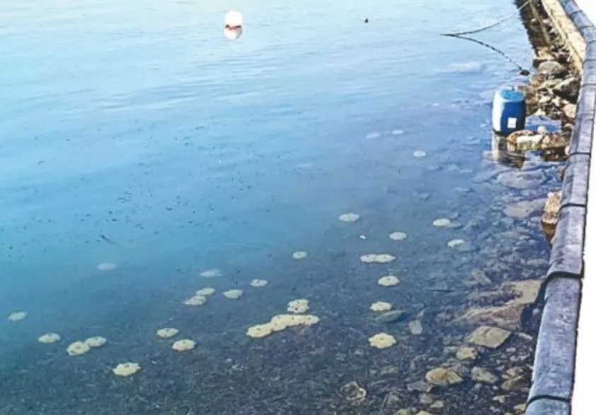 Sewage Discharged Into Sea In Kato Pyrgos Sparks Concerns