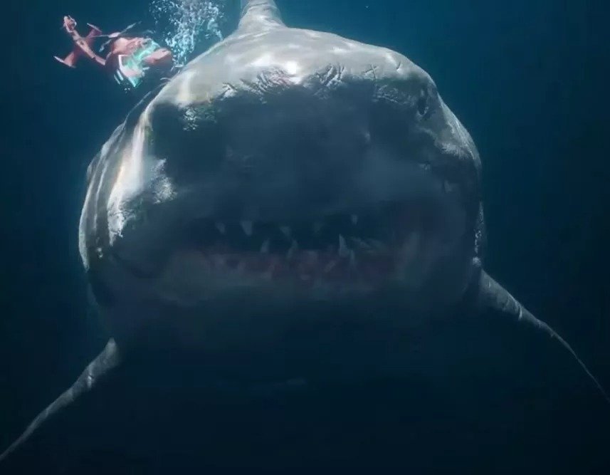 What It Would Be Like To Be Attacked By A Megalodon Shark