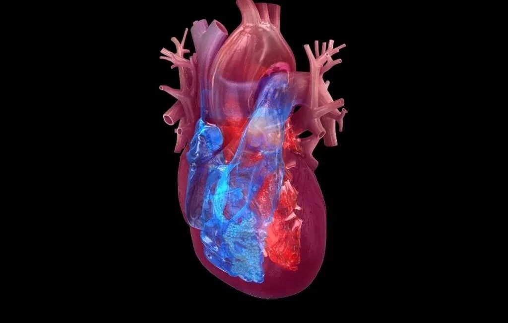 Covid 19 Infection May Increase Risk Of Heart Attack, Stroke, Study Finds
