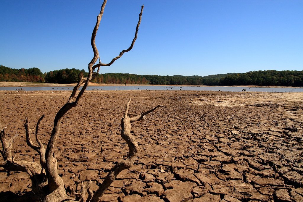 Climate Report Reveals Record Levels Of Heat Related Deaths In 2023