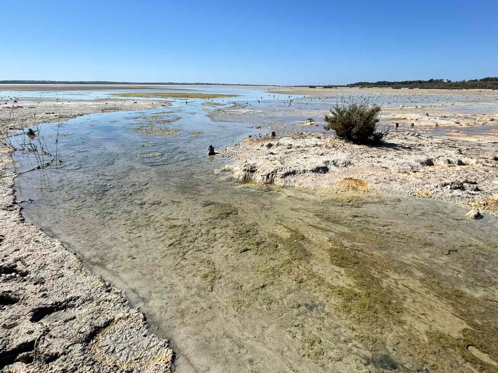 Akrotiri Pollution Wetland Sewage