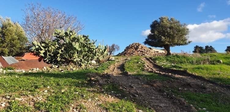 Androlikou 6