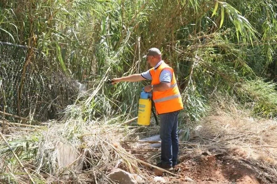 Mosquito Spraying Larnaca