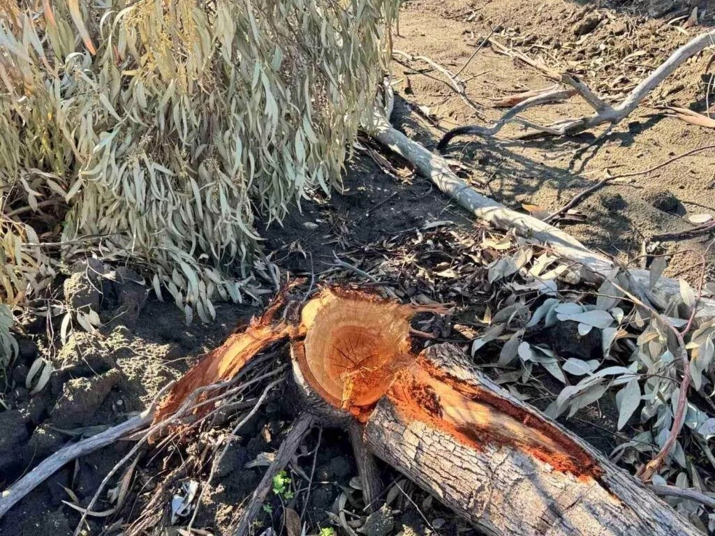 Coastal Earthwork Damage Probe Launched As Authorities Weigh Fines