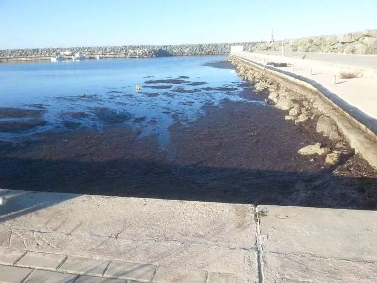 Environmental Groups Fight Kato Pyrgos Marine Waste Dumping Plan