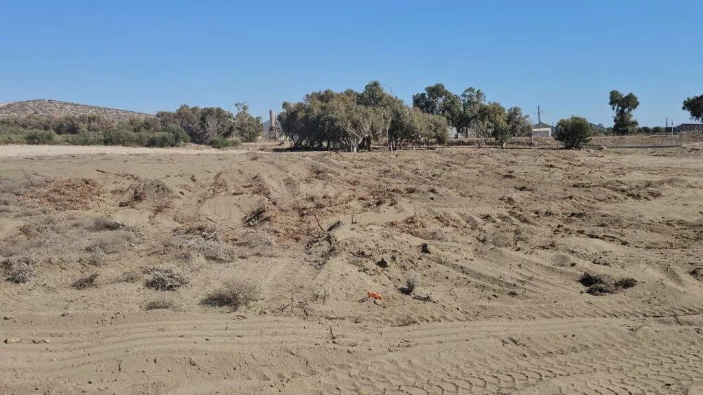 Last Protected Sand Dunes In Limassol Bay Destroyed For Tourist Development