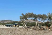 Limassol Sand Dunes