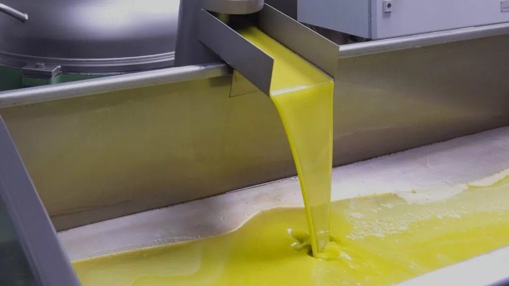 Olive Oil