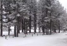 Snow Troodos