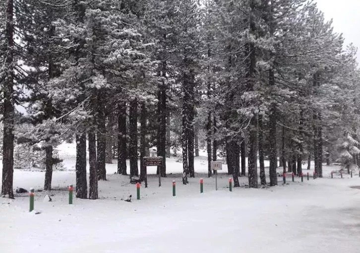 Snow Troodos
