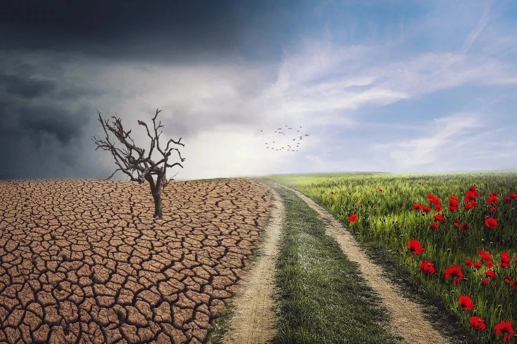 Cyprus Encounters Severe Impacts Of Climate Change