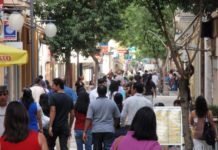 Ledra Id 438837 1 1024x768