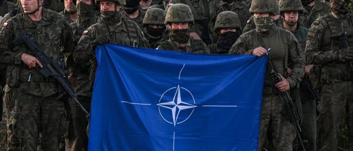 Nato Soldiers