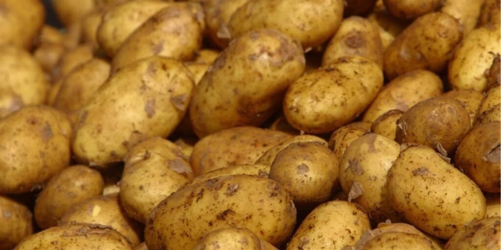 Potatoes