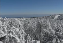 Snow Troodos