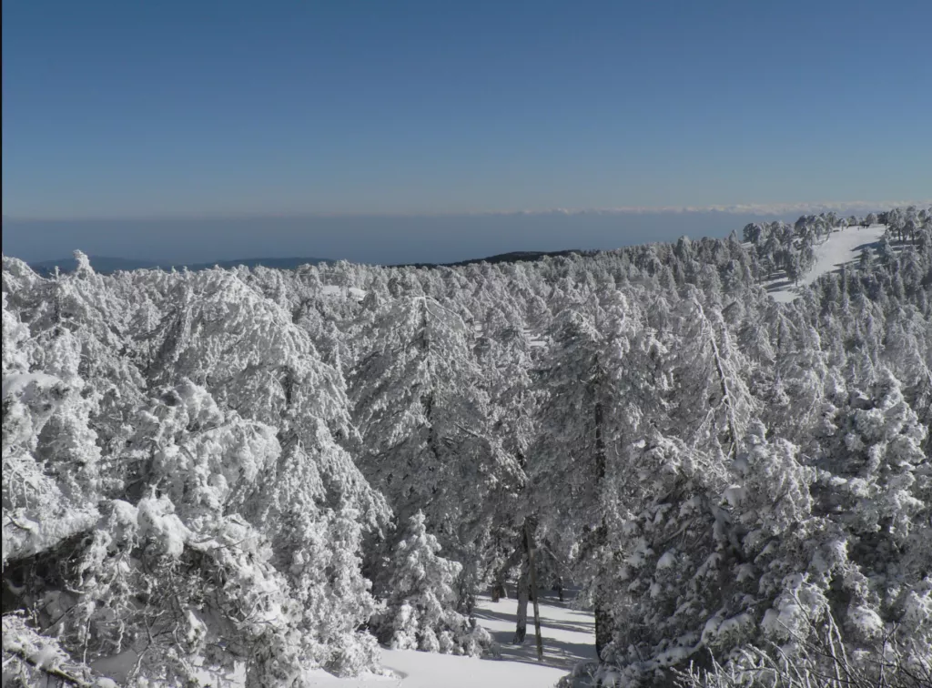 Snow Troodos