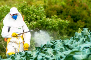 Agricultural Fungicides