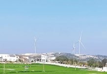 Environmental Body Approves Wind Farm In Nature Reserve