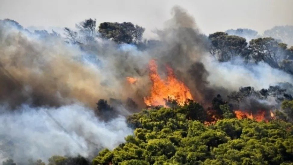 Fire Starters To Pay Reforestation Costs Under New Bill