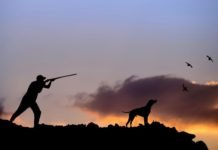 Hunters Plan Protest Over Dog Training Regulations