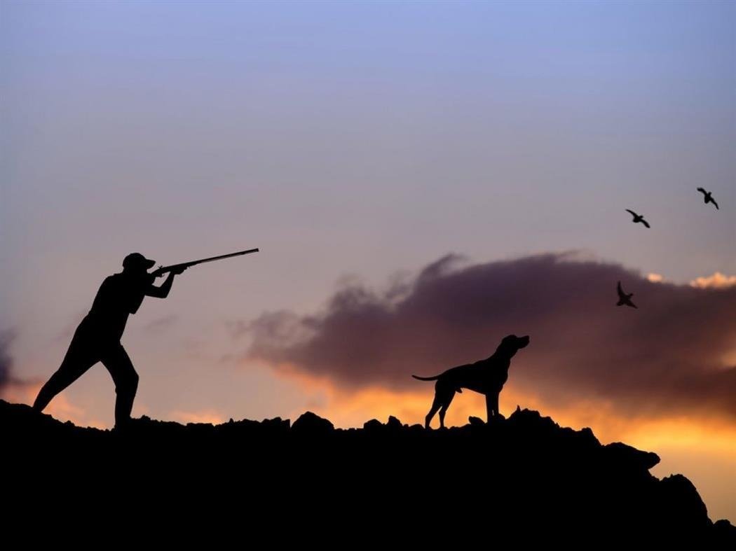 Hunters Plan Protest Over Dog Training Regulations