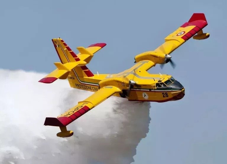 Three Forestry Officials Suspended Over Aircraft Tender Probe
