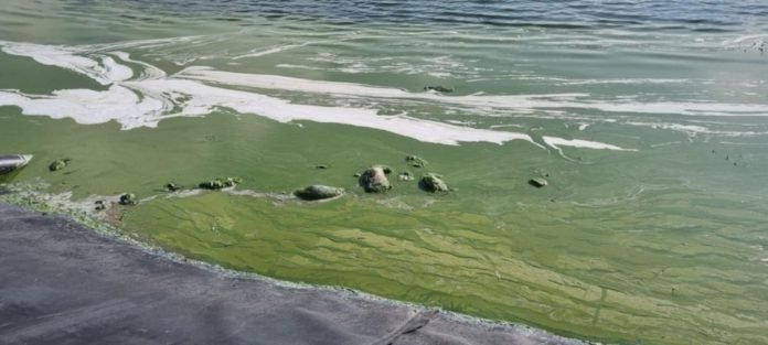 Anthoupoli Sewage