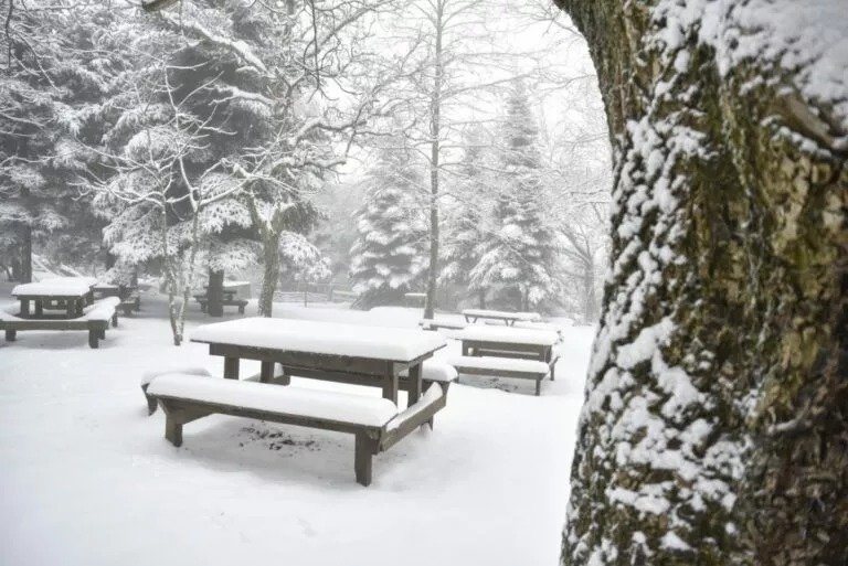 Cyprus Braces For Record Low Temperatures In Coming Days