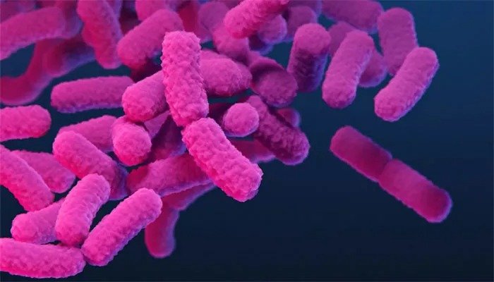 Drug Resistant Bacteria Cases Surge 275.7% In Cyprus Hospitals, Eu Warns