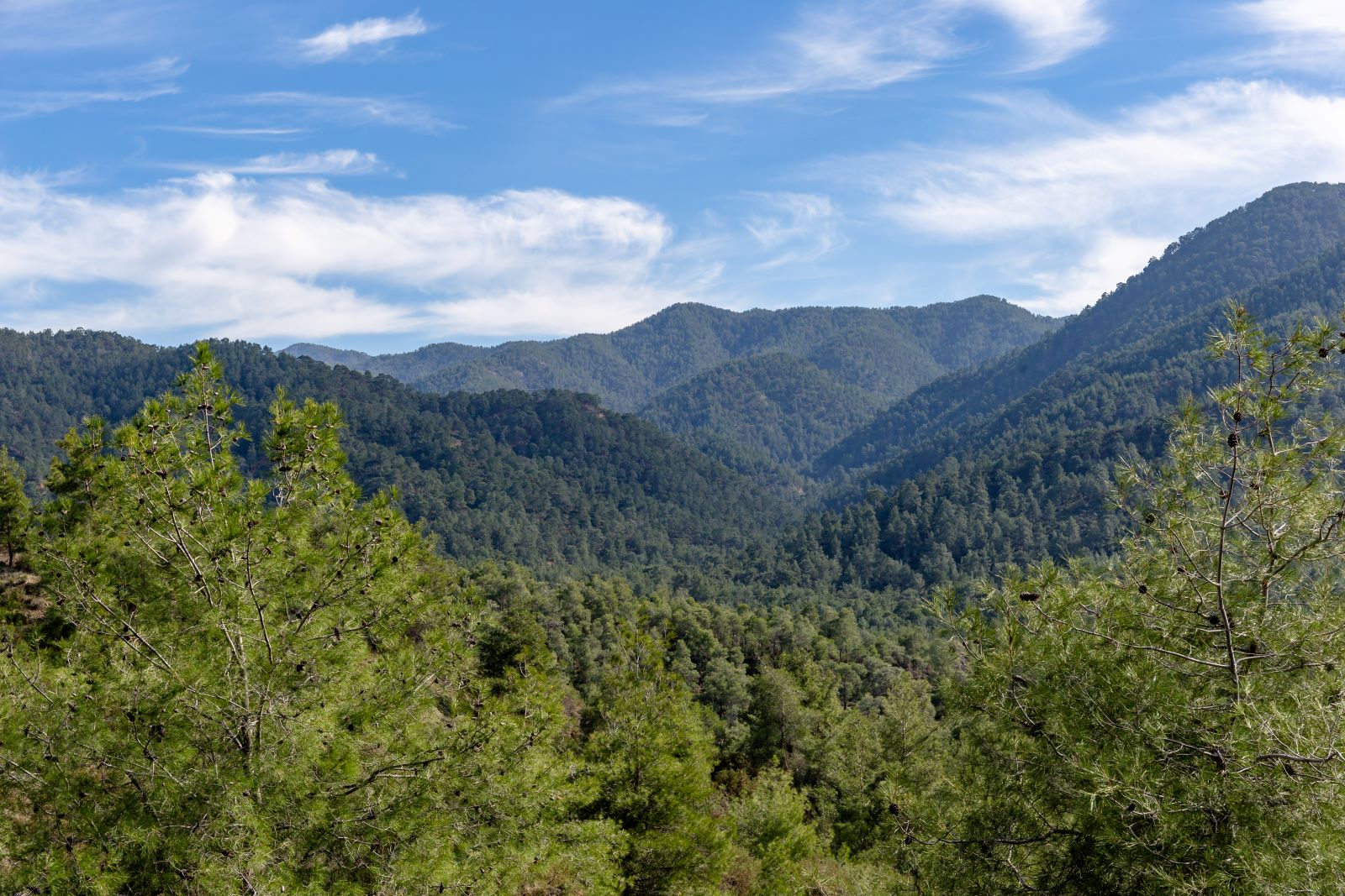 Eastern Side Of Troodos