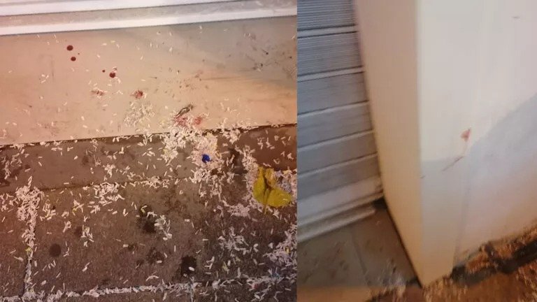Foreign National Assaulted During Limassol Carnival Celebrations