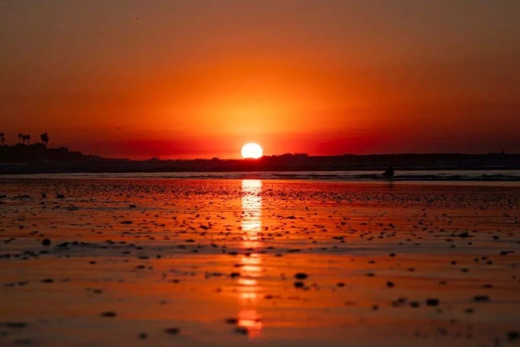 January 2025 Becomes Warmest Month On Record