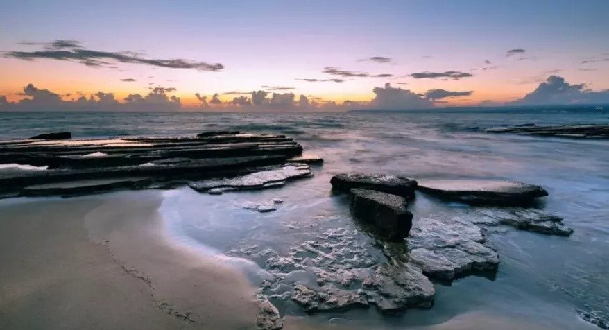 Mediterranean Seal Caves Saved As Cyprus Blocks Breakwater Project