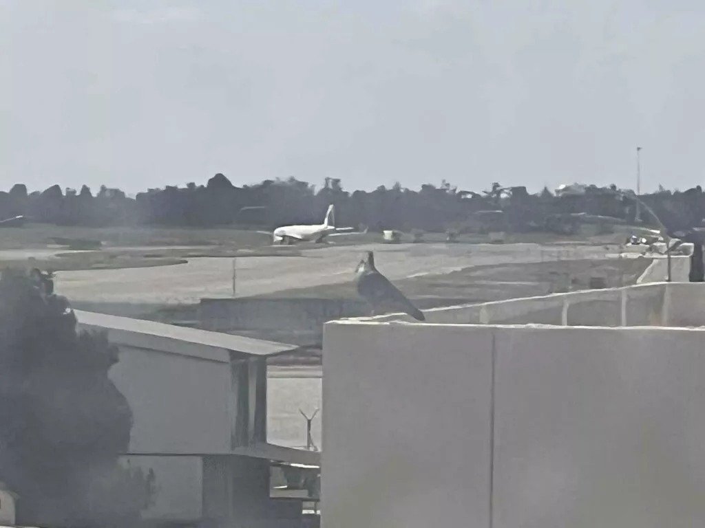 Moldova Intelligence Prompts Security Alert At Larnaca Airport