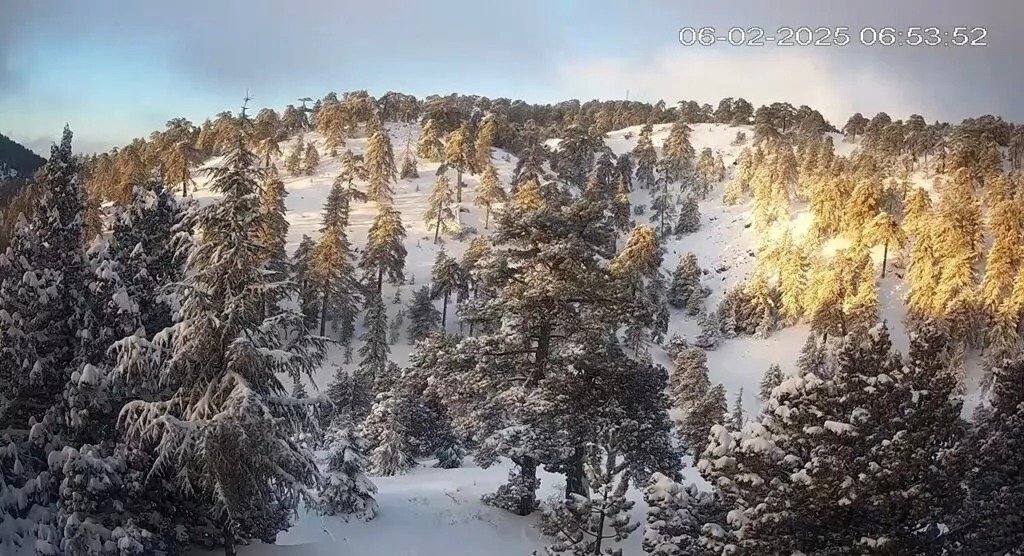 Snow Blankets Cyprus Mountain Villages In Winter Spectacle (photos+videos)