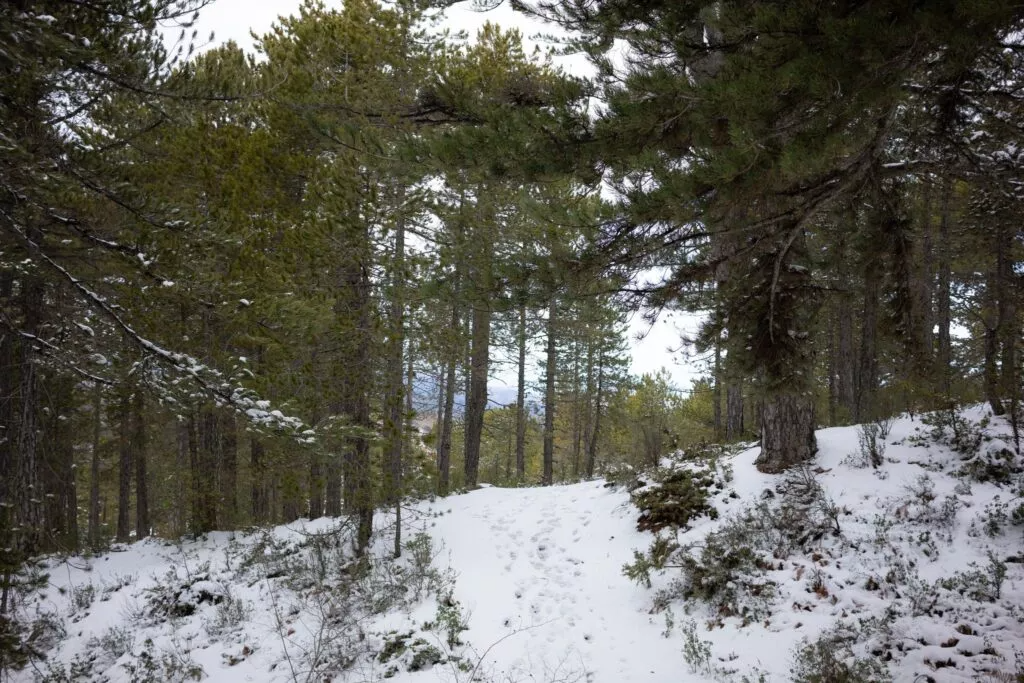 Snow Troodos