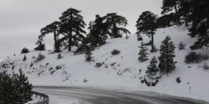 Troodos Snow